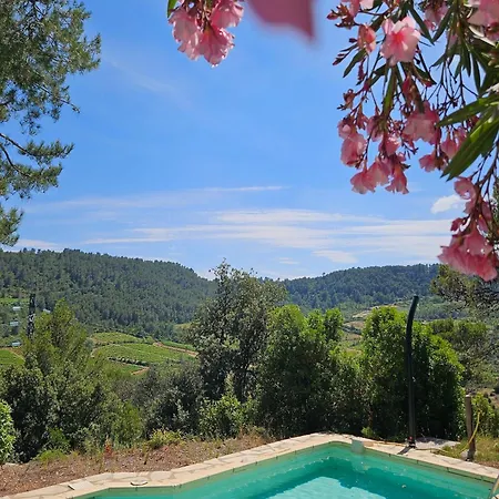 Inviting In Holiday home Pierrerue (Herault)